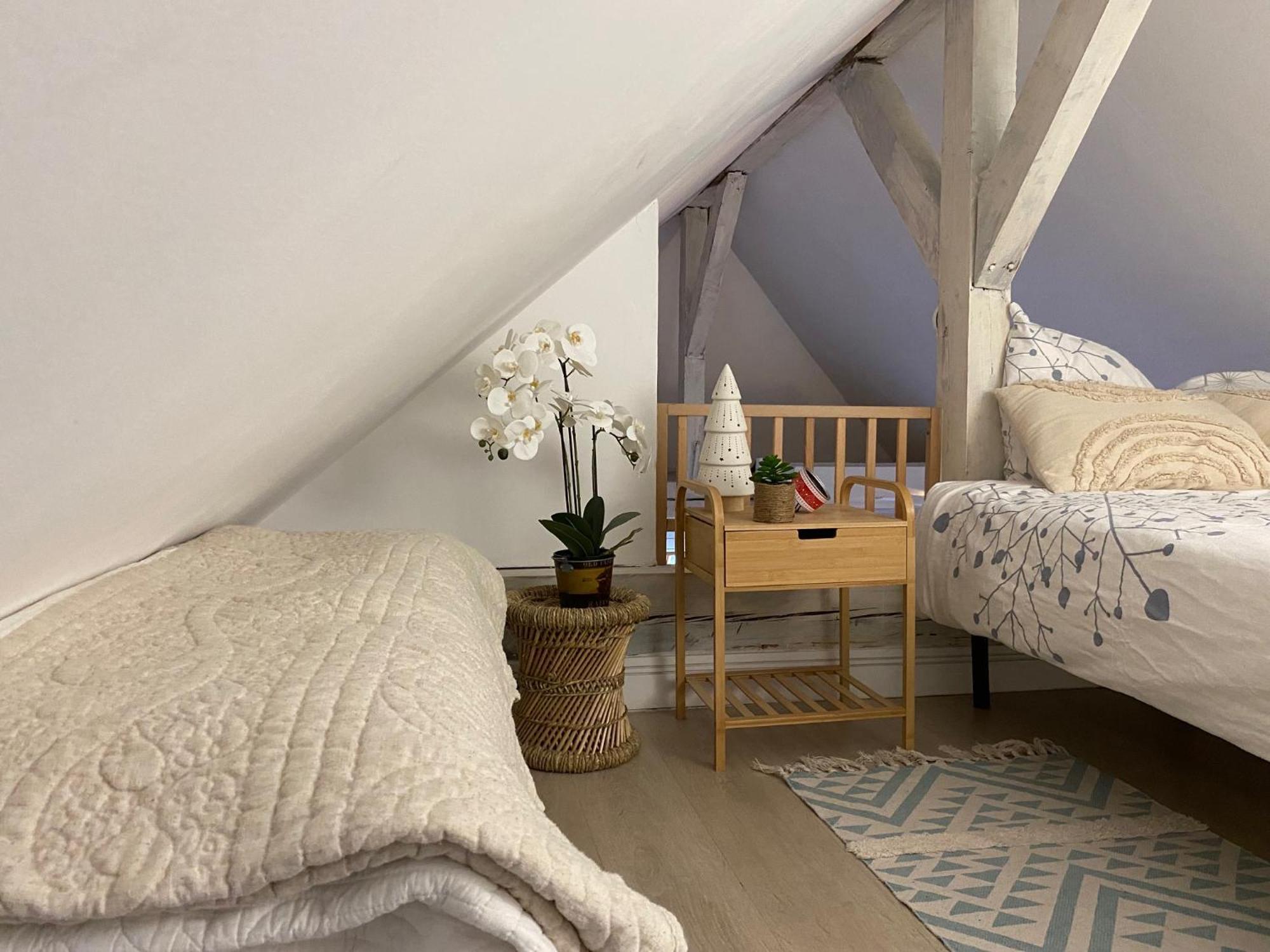 Duplex Spacieux Tout Confort Mulhouse Eksteriør bilde