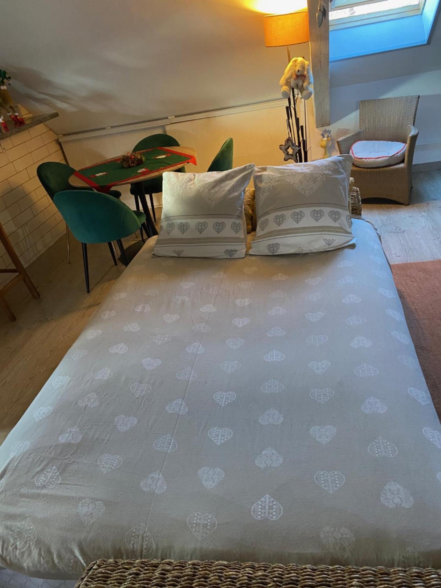 Duplex Spacieux Tout Confort Mulhouse Eksteriør bilde